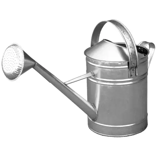 Super ofertă Stropitoare Zincata / V[l]: 10