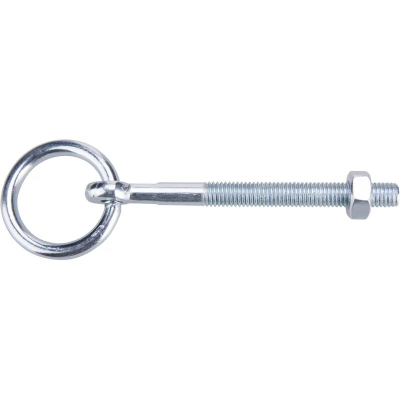 Belciug cu surub metric cu piulita 6x63x40 2buc/set 678100 Evotools Nu rata