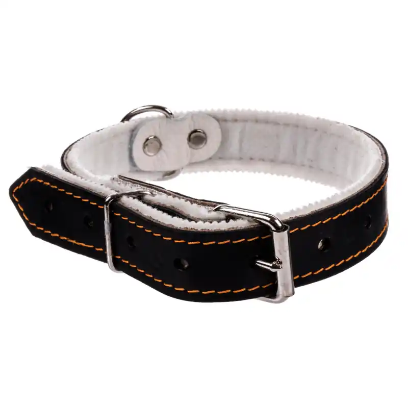 ZGARDĂ MARE 30 LATĂ Nu rata