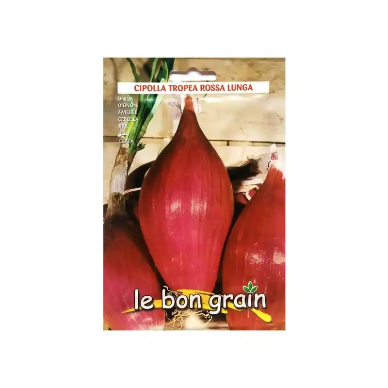 Seminte de Ceapa Rosie, de Apa, Tropea Rossa Lunga, 5 g, Raci Se - Trada Marketplace Reducere