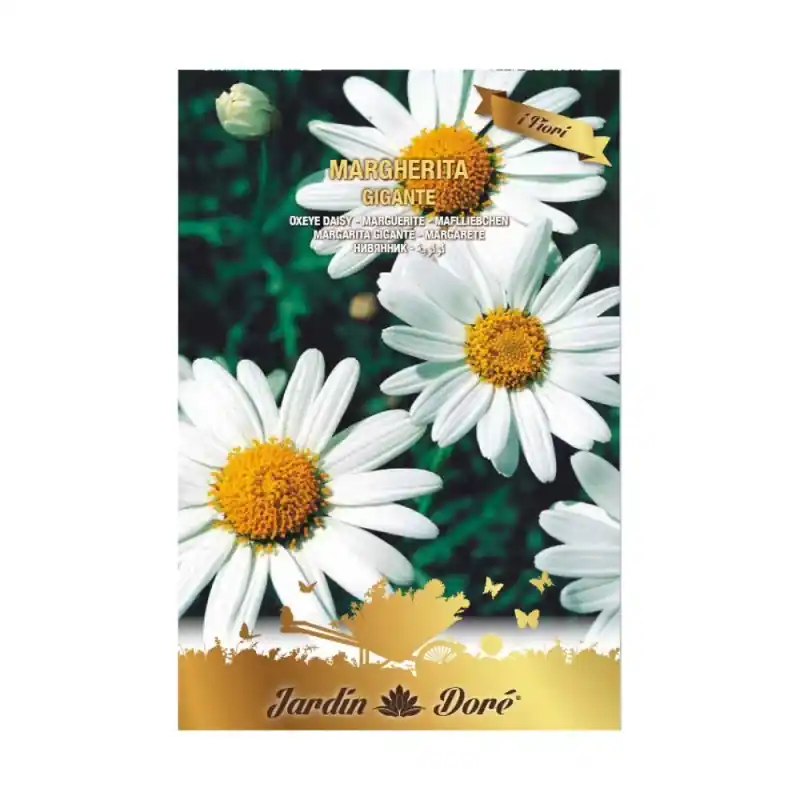Vezi acum Seminte Flori, Margarete Gigante, 0.5 g, Albe, Raci Sementi Ofer - Trada Marketplace