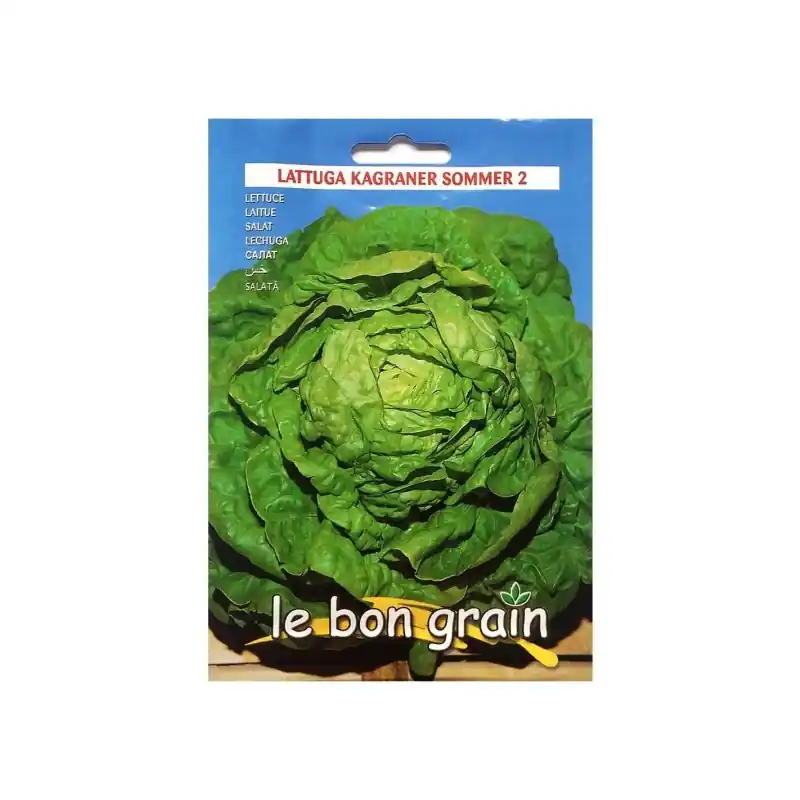 Seminte de Salata Verde, Frunze Rotunde si Ondulate, Kagraner So - Trada Marketplace Preț promoțional