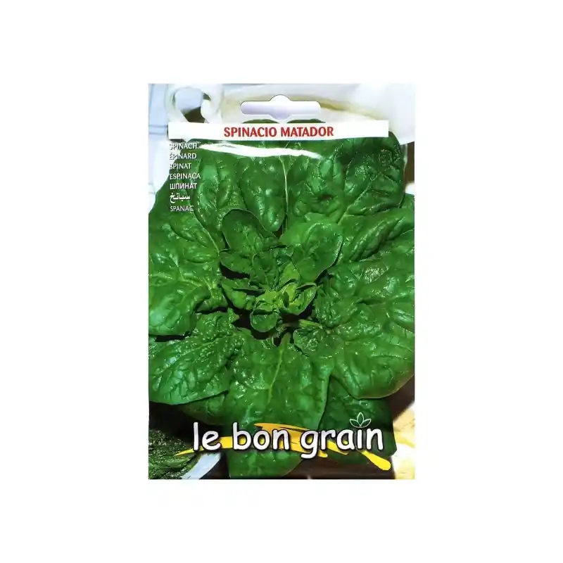 Seminte de Spanac, Matador, 100 g, Raci Sementi Oferta Pret - Tr - Trada Marketplace Ofertă