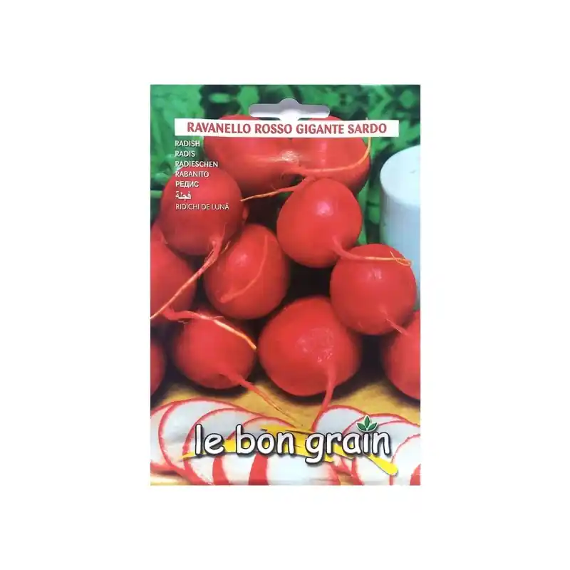 Seminte de Ridichi de Luna, Rosso Gigante Sardo, 100 g, Raci Sem - Trada Marketplace Reducere
