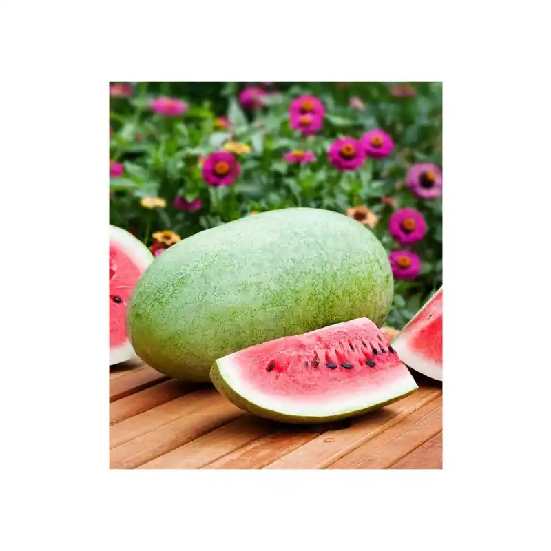 Seminte de Pepene Verde, Charleston Gray, 100 g, Raci Sementi Of - Trada Marketplace Cel mai vândut