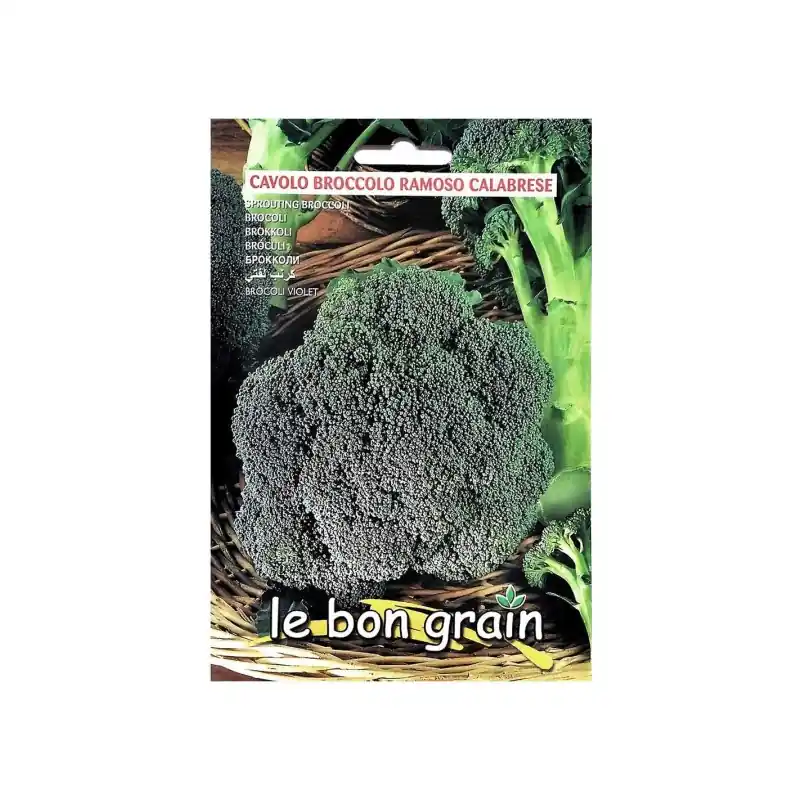 Reducere Seminte de Broccoli, Ramoso Calabrese, 7 g, Raci Sementi Oferta - Trada Marketplace