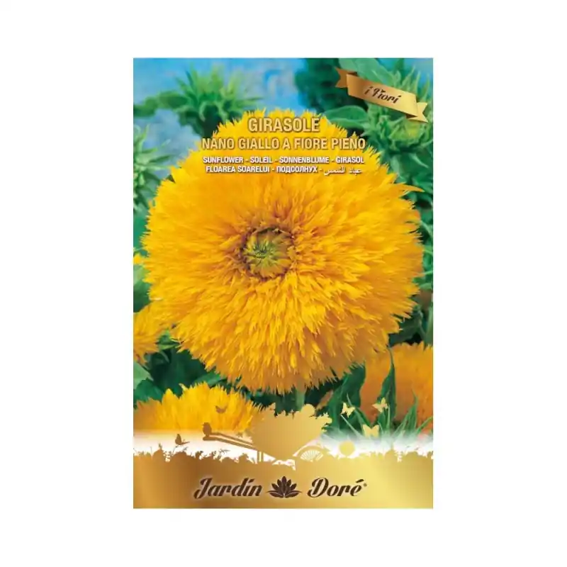 Reducere specială Seminte Floarea Soarelui Pitica, Flori Batute, 4 g, Raci Sementi - Trada Marketplace