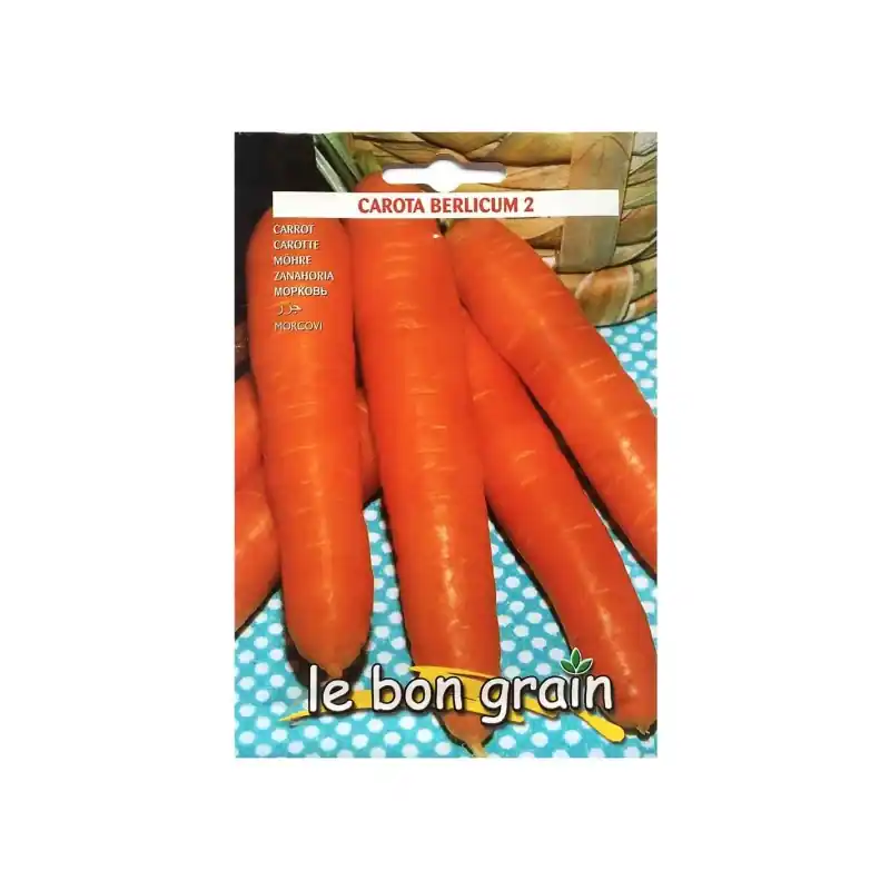 Ieftin Seminte de Morcovi, Berlicum, 9 g, Raci Sementi Oferta Pret - Tr - Trada Marketplace