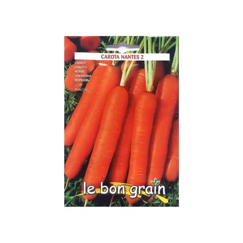 Livrare rapidă Seminte de Morcovi, Nantes 2, 9 g, Raci Sementi Oferta Pret - Tr - Trada Marketplace