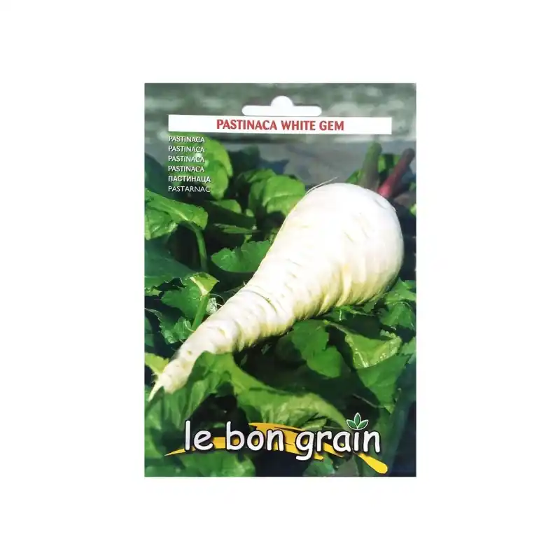 Plată securizată Seminte de Pastarnac, White Gem, 4 g, Raci Sementi Oferta Pret - - Trada Marketplace