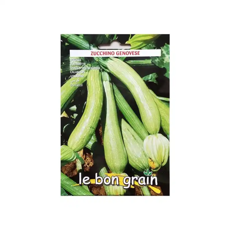 Seminte de Dovlecei Verde Deschis, Genovese, 10 g, Raci Sementi - Trada Marketplace Livrare rapidă