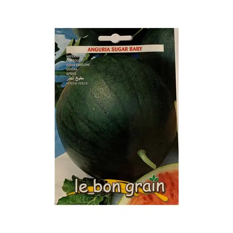 Livrare expres Seminte de Pepene Verde, Sugar Baby, 4 g, Raci Sementi Oferta Pr - Trada Marketplace