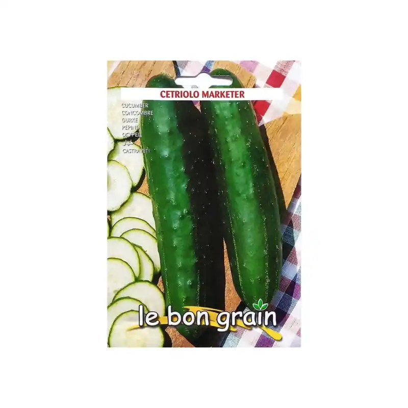 Discount Seminte de Castraveti, Marketer, 5 g, Raci Sementi Oferta Pret - - Trada Marketplace