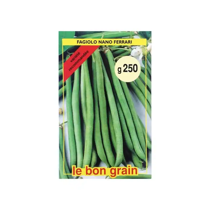 Seminte de Fasole Verde Fideluta, Ferrari, 250 g, Raci Sementi O - Trada Marketplace Chilipir