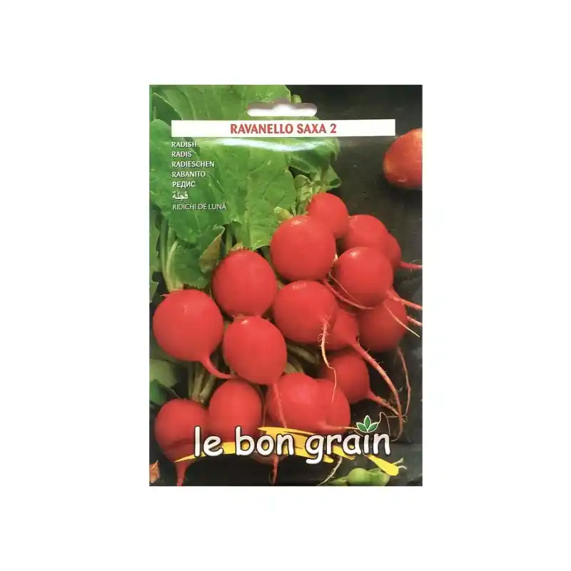 Seminte de Ridichi de Luna, Saxa 2, 13 g, Raci Sementi Oferta Pr - Trada Marketplace Ofertă exclusivă