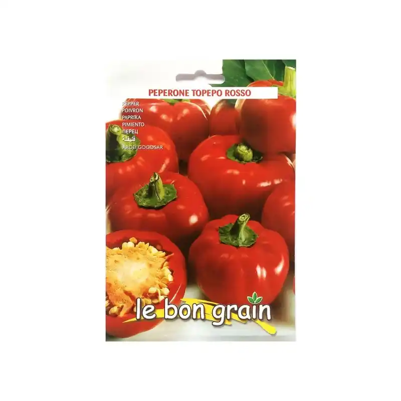 Retur ușor Seminte de Ardei Gogosar, Topedo Rosso, 3 g, Raci Sementi Oferta - Trada Marketplace