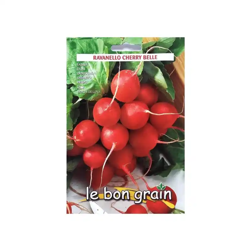 Seminte de Ridichi de Luna, Cherry Belle, 13 g, Raci Sementi Ofe - Trada Marketplace Ofertă de sezon