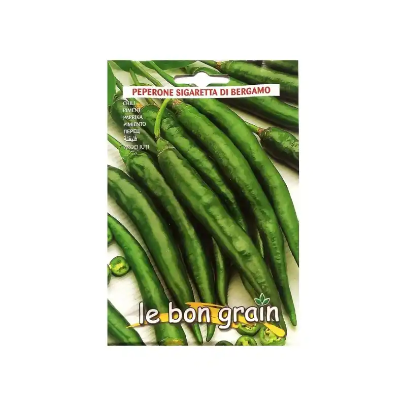 Seminte de Ardei Iute, 3 g, Raci Sementi Oferta Pret - Trada.ro - Trada Marketplace Livrare gratuită