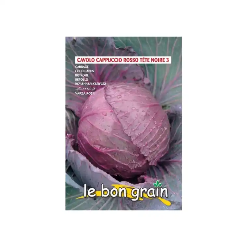 Reducere Seminte de Varza Rosie, Capatana Rotunda, Testa di Negro, 7 g, R - Trada Marketplace