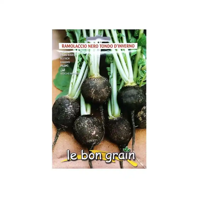 Popular Seminte de Ridichi Negre de Iarna, Tondo d'Inverno, 13 g, Raci S - Trada Marketplace