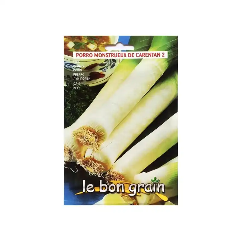 Seminte de Praz Monstrueux De Carentan, 6 g, Raci Sementi Oferta - Trada Marketplace Disponibil imediat