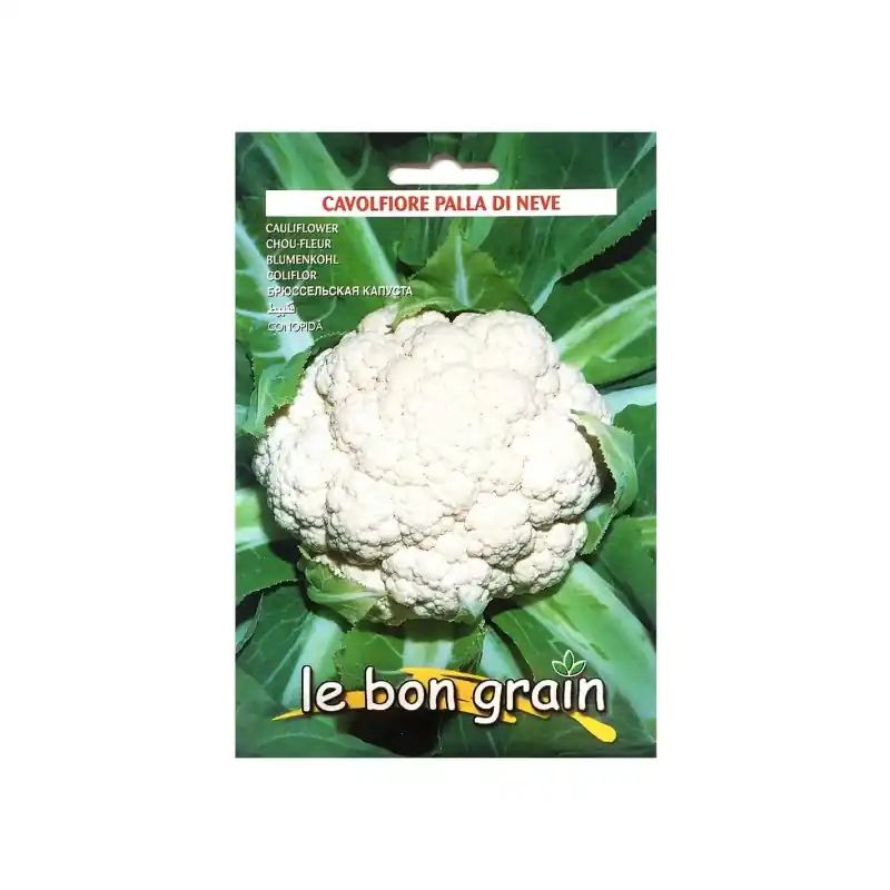 Seminte de Conopida Alba, Palla Di Neve, 4 g, Raci Sementi Ofer - Trada Marketplace Ofertă exclusivă