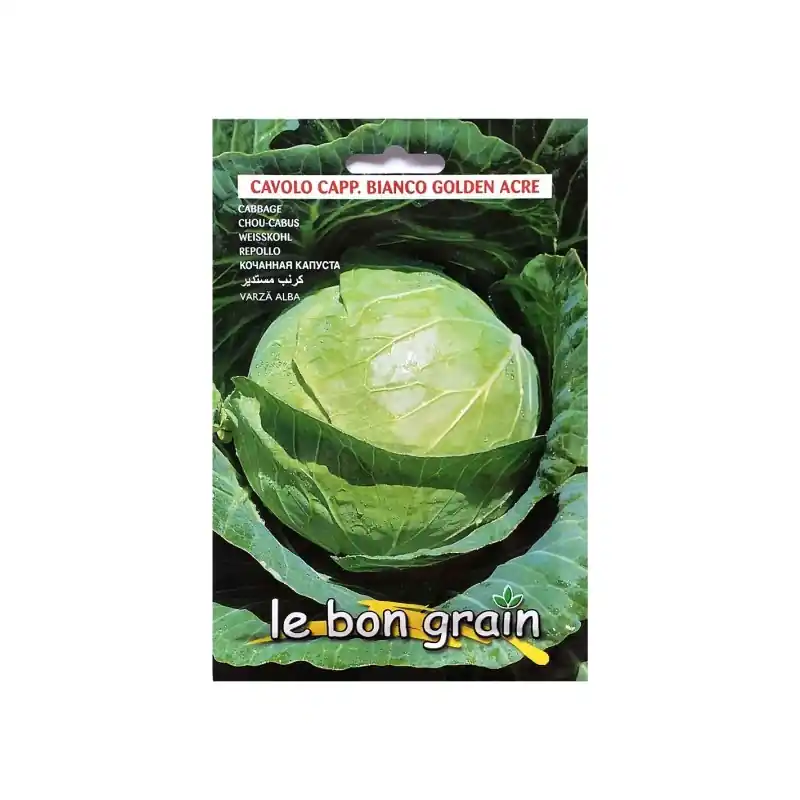 Seminte de Varza Alba, Capatana Rotunda, Golden Acre, 6 g, Raci - Trada Marketplace Popular