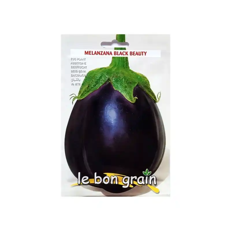 Comandă acum Seminte de Vinete, Black Beauty, 4 g, Raci Sementi Oferta Pret - - Trada Marketplace