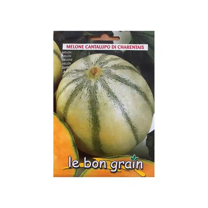 Comandă acum Seminte de Pepene Galben, Cantalupo Di Charentais, 4 g, Raci Sem - Trada Marketplace