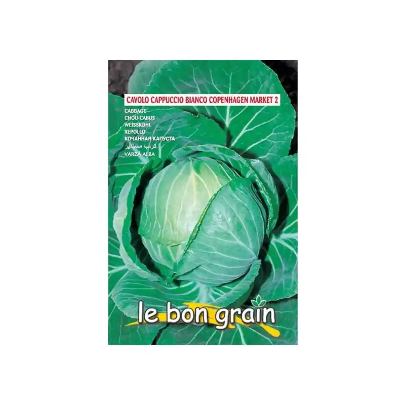 Reducere de preț Seminte de Varza Alba, Capatana Rotunda, Mercato di Copenhagen, - Trada Marketplace