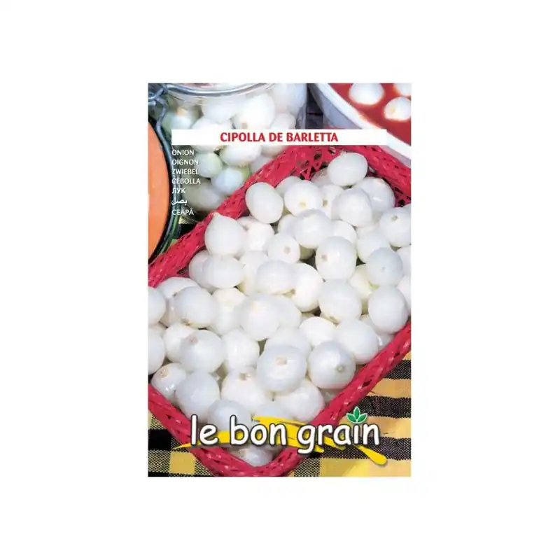 Preț promoțional Seminte de Ceapa Mica si Rotunda pentru Murat, De Barletta, 3.5 - Trada Marketplace