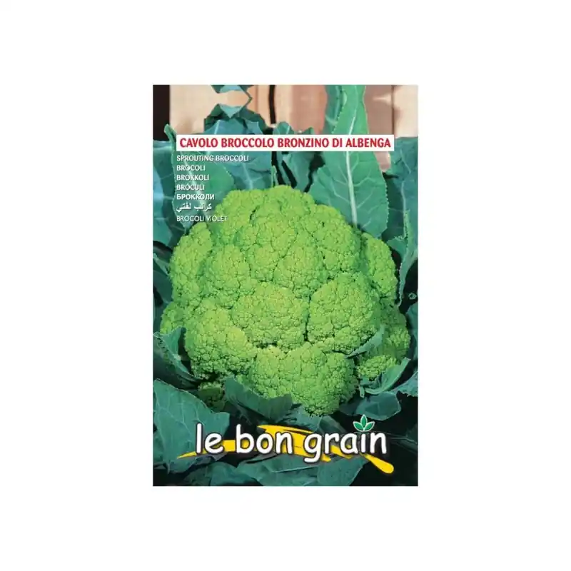 Livrare gratuită Seminte de Conopida Verde Crud, Bronzino di Albenga, 7 g, Raci S - Trada Marketplace