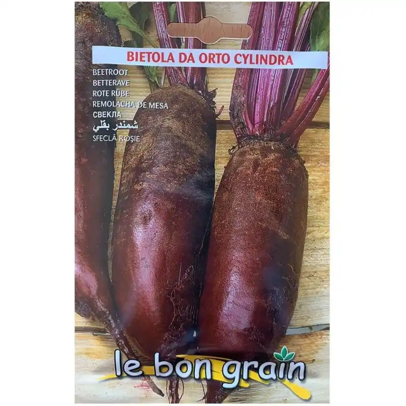 Plată securizată Seminte de Sfecla Rosie Cilindrica, Cylindra, 100 g, Raci Sement - Trada Marketplace