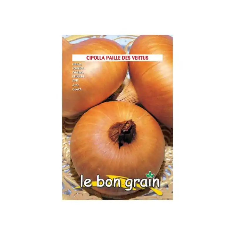 Seminte de Ceapa Alba, Bulb Mare Turtit, Vertus, 3.5 g, Raci Sem - Trada Marketplace Lichidare de stoc