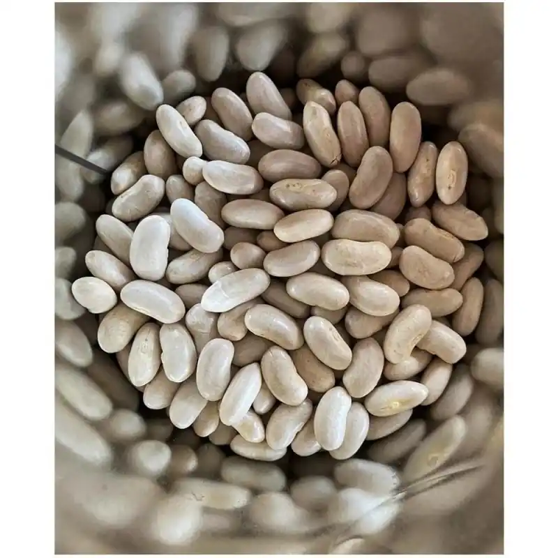 Seminte de Fasole Alba Boabe, Cannellino, 25 kg, Raci Sementi Of - Trada Marketplace Promoție