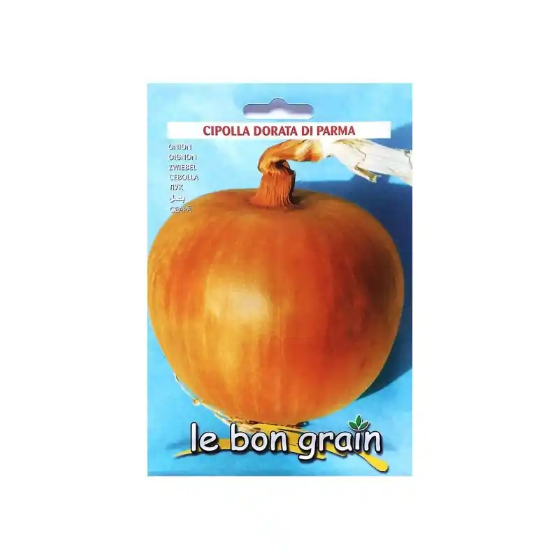 Promoție Seminte de Ceapa Aurie, Dorata di Bologna, 500 g, Raci Sementi O - Trada Marketplace