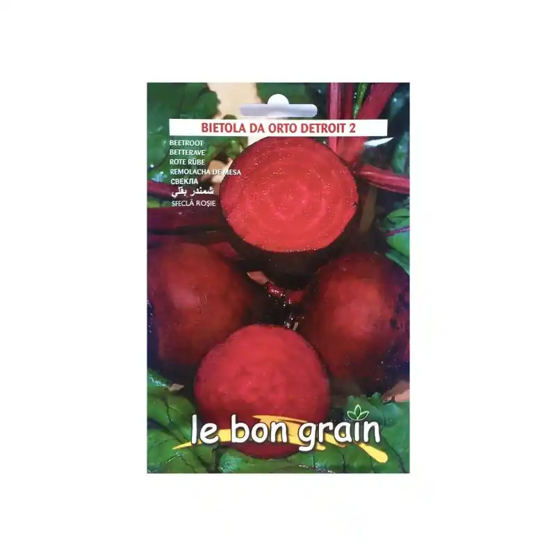 Plată securizată Seminte de Sfecla Rosie Detroit, 500 g, Raci Sementi Oferta Pret - Trada Marketplace