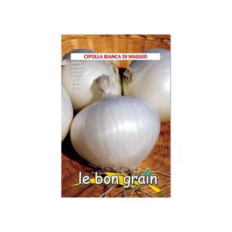 Super ofertă Seminte de Ceapa Apa, Bianca Di Maggio, 500 g, Raci Sementi Ofer - Trada Marketplace