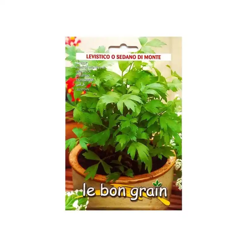 Seminte de Leustean, Sedano Di Monte, 2 g, Raci Sementi Oferta P - Trada Marketplace Livrare gratuită