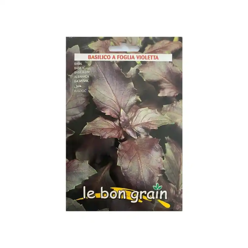 Premium Seminte Busuioc Rosu, 5 g, Raci Sementi Oferta Pret - Trada.ro - Trada Marketplace