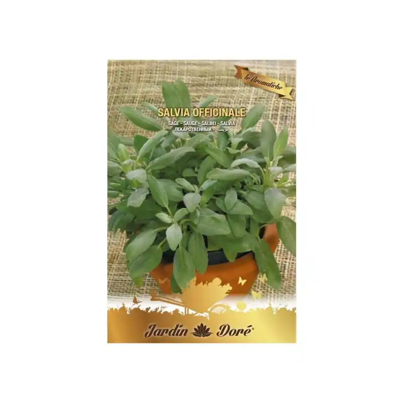 Comandă acum Seminte de Salvie, 1 g, Raci Sentimente Oferta Pret - Trada.ro - Trada Marketplace