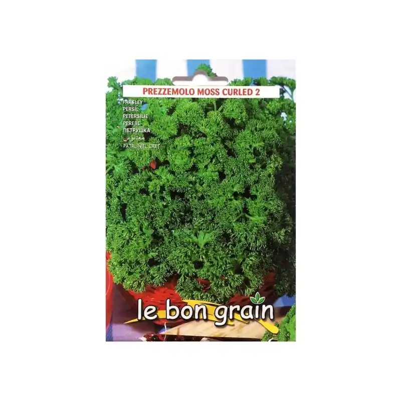 Bestseller Seminte de Patrunjel Cret Moss, 100 g, Raci Sementi Oferta Pret - Trada Marketplace