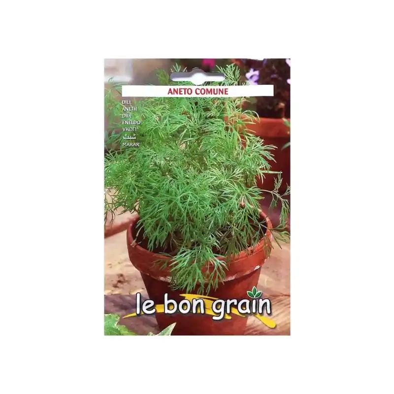 Cumpărături sigure Seminte de Marar, 25 kg, Raci Sementi Oferta Pret - Trada.ro - Trada Marketplace