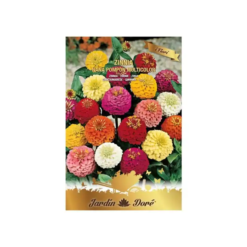 Ieftin Seminte de Carciumarese, Zinnia Nana Pampon, Multicolor, 3 g Ofe - Trada Marketplace