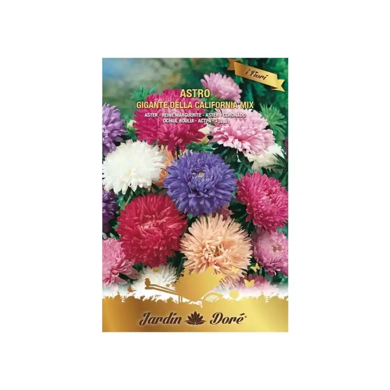 Ofertă limitată Seminte Flori, Ochiul Boului Gigante della California, 2 g, Ames - Trada Marketplace