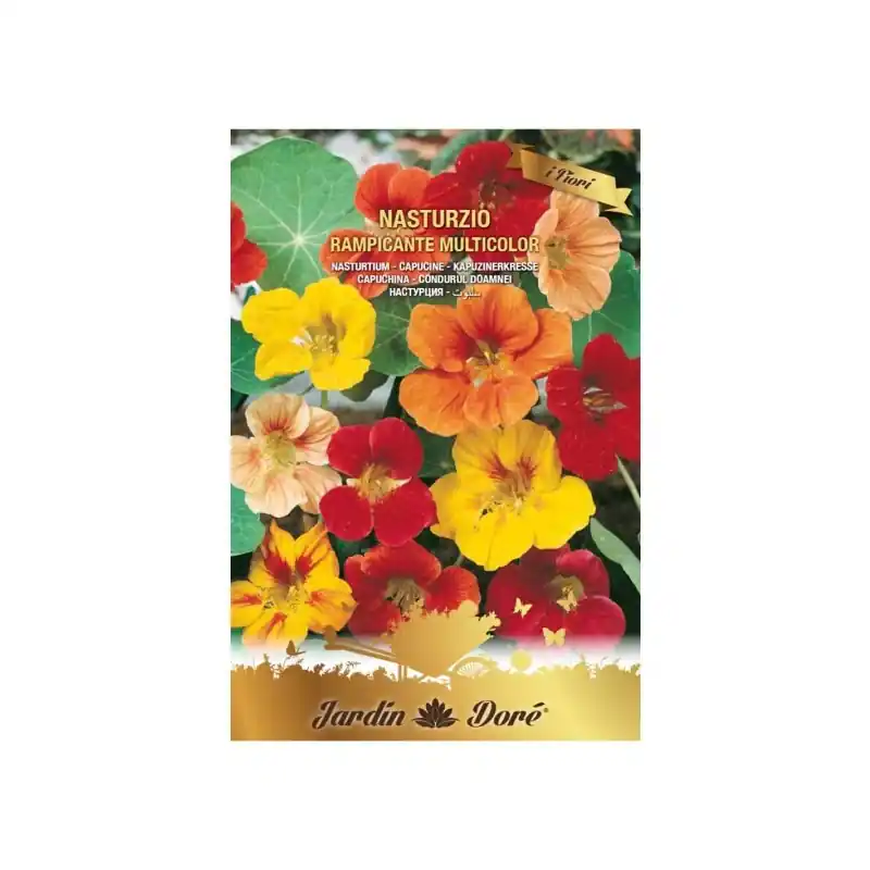 Seminte Flori Condurul Doamnei, Crestere Rapida, Amestec Multico - Trada Marketplace Cel mai vândut