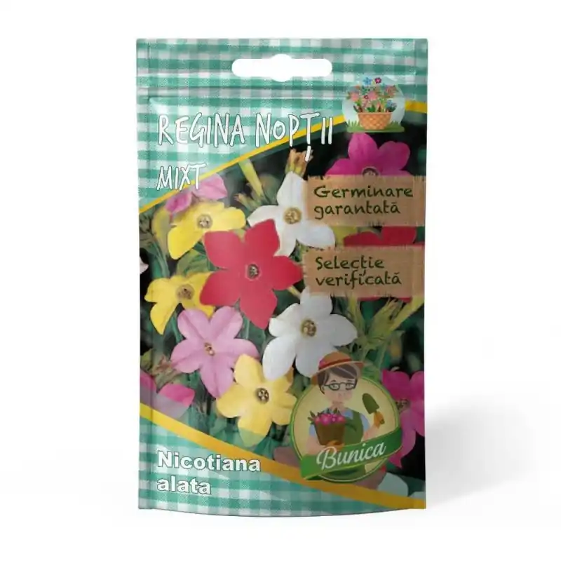 Seminte Flori Regina Noptii, Agrocosm Oferta Pret - Trada.ro - Trada Marketplace Livrare expres