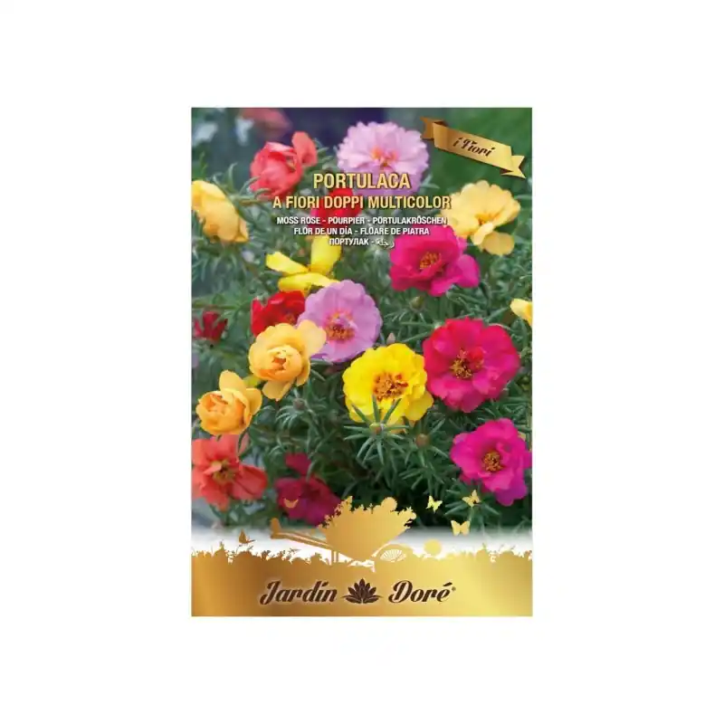 Seminte Flori, Floare de Piatra Batute, Amestec Multicolor, 0.5 - Trada Marketplace Plată securizată