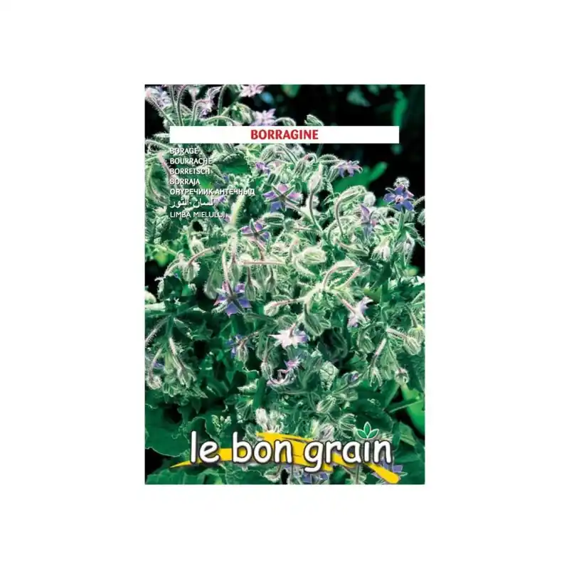 Seminte de Flori, Limba Mielului, 6 g, Raci Sementi Oferta Pret - Trada Marketplace Ofertă exclusivă