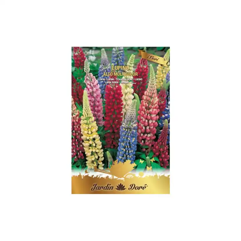 Seminte Flori Lupin, Amestec Multicolor, Raci Sementi Oferta Pre - Trada Marketplace Ofertă exclusivă